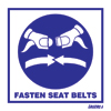 Fasten Seat Belts