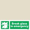 Break Glass In Emergency
